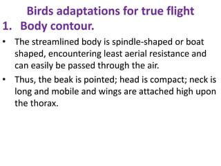 Birds adaptations for true flight
1. Body contour.
• The streamlined body is spindle-shaped or boat
shaped, encountering least aerial resistance and
can easily be passed through the air.
• Thus, the beak is pointed; head is compact; neck is
long and mobile and wings are attached high upon
the thorax.
 