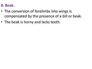 8. Beak.
• The conversion of forelimbs into wings is
compensated by the presence of a bill or beak.
• The beak is horny and lacks teeth.
 