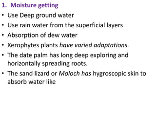 1. Moisture getting
• Use Deep ground water
• Use rain water from the superficial layers
• Absorption of dew water
• Xerophytes plants have varied adaptations.
• The date palm has long deep exploring and
horizontally spreading roots.
• The sand lizard or Moloch has hygroscopic skin to
absorb water like
 
