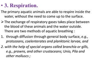• 3. Respiration.
The primary aquatic animals are able to respire inside the
water, without the need to come up to the surface.
The exchange of respiratory gases takes place between
the blood of these animals and the water outside.
There are two methods of aquatic breathing :
1. through diffusion through general body surface, e.g.,
protozoans, coelenterates and planktonic larvae, and
2. with the help of special organs called branchia or gills,
e.g., prawns, and other crustaceans; Unio, Pila and
other molluscs ;
 
