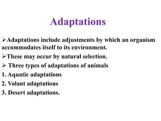 Adaptations
Adaptations include adjustments by which an organism
accommodates itself to its environment.
These may occur by natural selection.
 Three types of adaptations of animals
1. Aquatic adaptations
2. Volant adaptations
3. Desert adaptations.
 