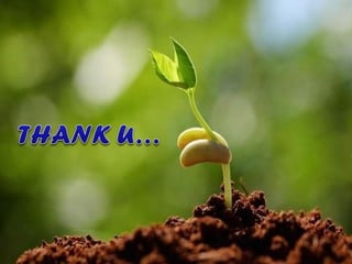 Joyce Banda Arrest: Adaption-Of-Fashion