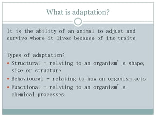 Adaption of animal and plant | PPT