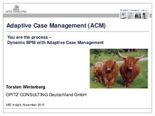 Adaptive Case Management (ACM)
You are the process –
Dynamic BPM with Adaptive Case Management

Torsten Winterberg
OPITZ CONSULTING Deutschland GmbH
MID Insight, November 2013
Adaptive Case Management

Seite 1

 