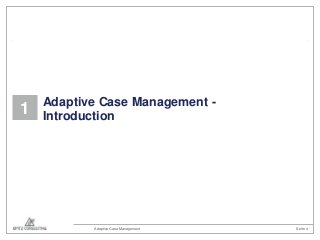 1

Adaptive Case Management Introduction

Adaptive Case Management

Seite 4

 