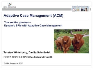 Adaptive Case Management (ACM)
You are the process –
Dynamic BPM with Adaptive Case Management

Torsten Winterberg, Danilo Schmiedel
OPITZ CONSULTING Deutschland GmbH
W-JAX, November 2013
Adaptive Case Management

Seite 1

 