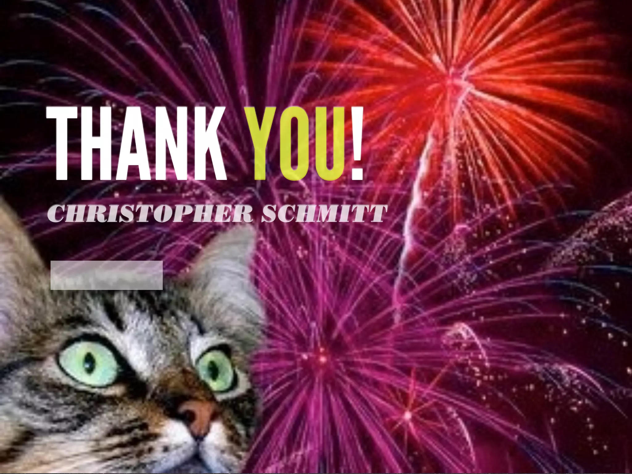 THANK YOU!CHRISTOPHER SCHMITT
 