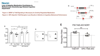 Impact of myelin plasticity on learning and memory | PDF