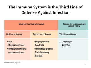 The Immune System is the Third Line of
Defense Against Infection
17
 