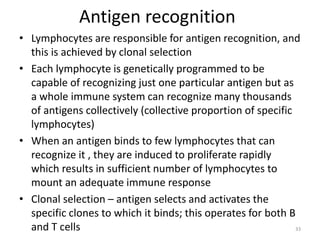 Antigen recognition
• Lymphocytes are responsible for antigen recognition, and
this is achieved by clonal selection
• Each lymphocyte is genetically programmed to be
capable of recognizing just one particular antigen but as
a whole immune system can recognize many thousands
of antigens collectively (collective proportion of specific
lymphocytes)
• When an antigen binds to few lymphocytes that can
recognize it , they are induced to proliferate rapidly
which results in sufficient number of lymphocytes to
mount an adequate immune response
• Clonal selection – antigen selects and activates the
specific clones to which it binds; this operates for both B
and T cells 33
 