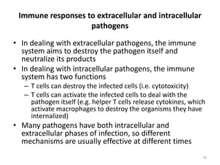Immune responses to extracellular and intracellular
pathogens
• In dealing with extracellular pathogens, the immune
system aims to destroy the pathogen itself and
neutralize its products
• In dealing with intracellular pathogens, the immune
system has two functions
– T cells can destroy the infected cells (i.e. cytotoxicity)
– T cells can activate the infected cells to deal with the
pathogen itself (e.g. helper T cells release cytokines, which
activate macrophages to destroy the organisms they have
internalized)
• Many pathogens have both intracellular and
extracellular phases of infection, so different
mechanisms are usually effective at different times
42
 