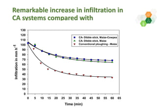 Adaptive capacity of maize-based conservation agriculture to climate stress in Malawi