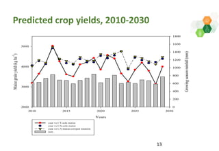 Adaptive capacity of maize-based conservation agriculture to climate stress in Malawi