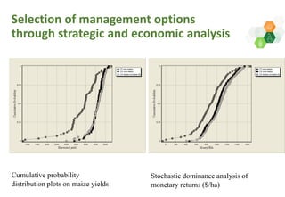 Adaptive capacity of maize-based conservation agriculture to climate stress in Malawi