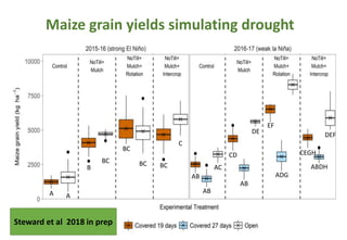 Adaptive capacity of maize-based conservation agriculture to climate stress in Malawi