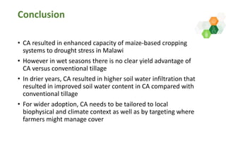 Adaptive capacity of maize-based conservation agriculture to climate stress in Malawi