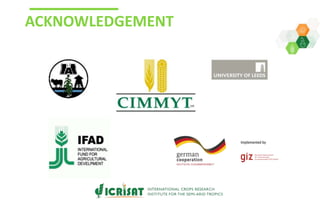 Adaptive capacity of maize-based conservation agriculture to climate stress in Malawi