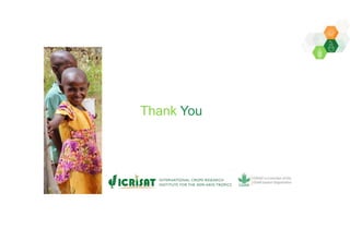 Adaptive capacity of maize-based conservation agriculture to climate stress in Malawi