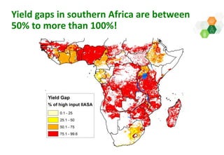 Adaptive capacity of maize-based conservation agriculture to climate stress in Malawi