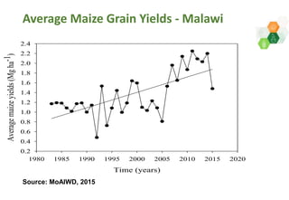 Adaptive capacity of maize-based conservation agriculture to climate stress in Malawi