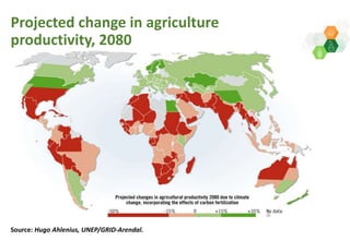 Adaptive capacity of maize-based conservation agriculture to climate stress in Malawi