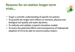 Adaptive capacity of maize-based conservation agriculture to climate stress in Malawi