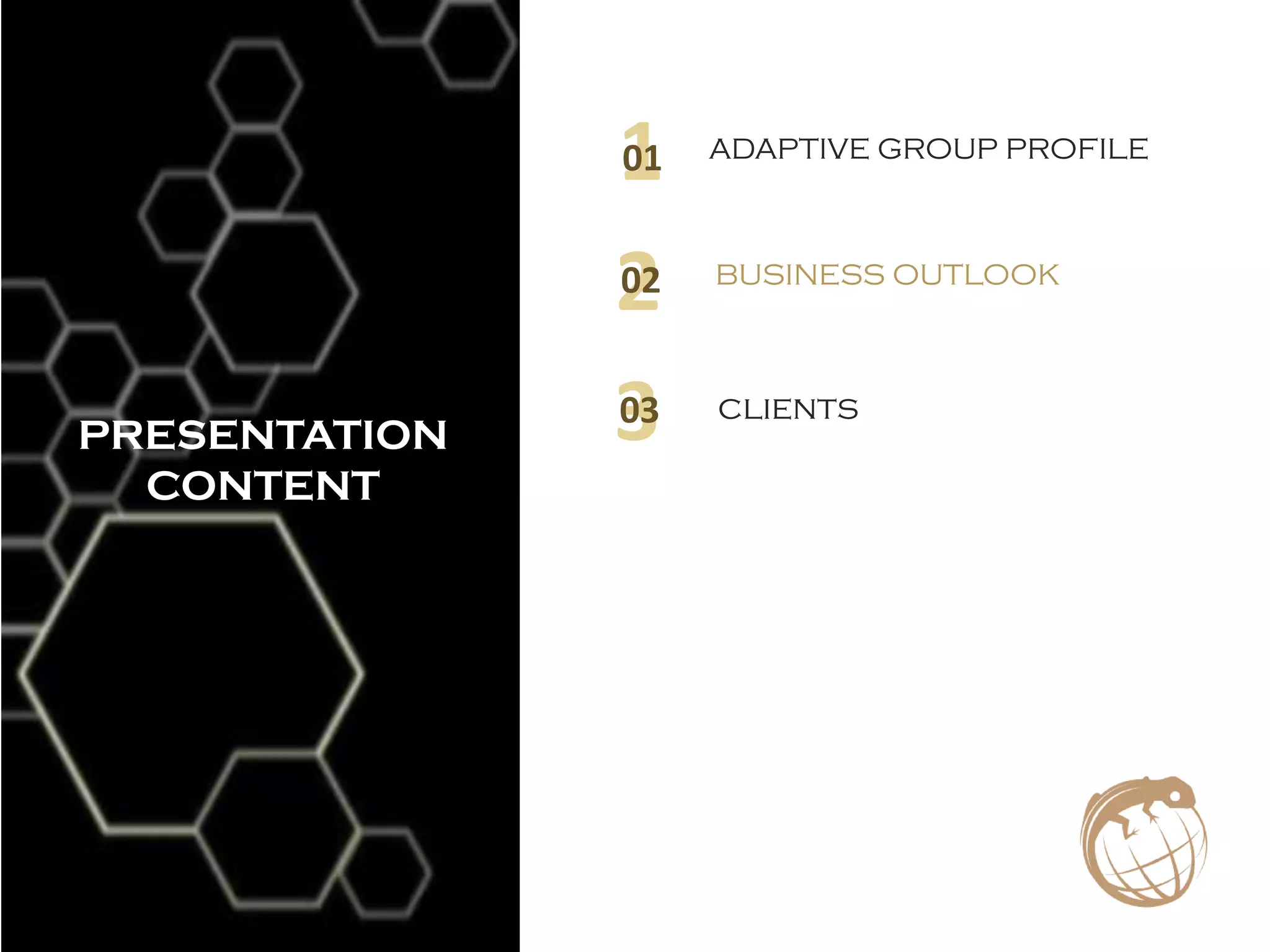ADAPTIVE GROUP PROFILE
101
BUSINESS OUTLOOK
202
clients
303
PRESENTATION
CONTENT
 