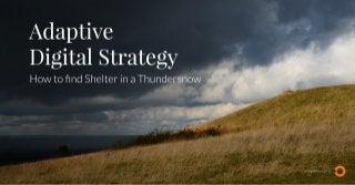 Adaptive Digital Strategy: How To Find Shelter In A Thundersnow