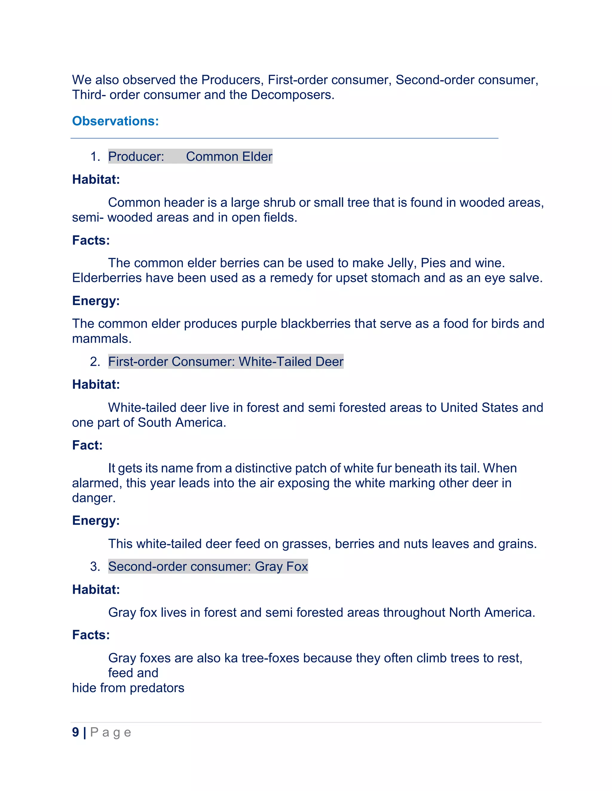 Adaptive features of animals in relation to food and environment and ...