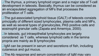 The thymus, a primary lymphoid organ and a major site of T-cell
development in teleosts. Basically, thymus can be considered as
an encapsulated aggregation of MFs that processes the
proliferation of T cells.
The gut-associated lymphoid tissue (GALT) of teleosts consists
principally of different sized lymphocytes, plasma cells and MFs,
as well as several types of granulocytes, PAS positive cells and
eosinophil granular cells (Zapata and Amemiya, 2000).
In teleosts, gut intraepithelial lymphocytes are largely
considered as T cells, whereas lymphoid cells in the lamina
propria are mainly as B lymphocytes
IgM can be present in serum and secretions of fish, including
cutaneous and gut mucus.
The Ab response and serum concentration of IgM may vary
 