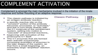 COMPLEMENT ACTIVATION
Complement is amongst the main mechanisms involved in the initiation of the innate
response and further mounting of an adaptive response.
.
 