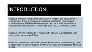 INTRODUCTION:
Adaptive immunity relies on the generation of random and highly diverse
repertoires of T and B-lymphocyte receptors encoded by recombinant
activation genes (RAGs) and contributes to a more specific and efficient
response against infections (McGuinness et al., 2003; Medzhitov, 2007)
Adaptive immune recognition is mediated by antigen (Ag) receptors, with
random but narrow specificities.
Adaptive or combinatorial system, characterized by the presence of Ig, T cell
receptors (TCR) and products of the MHC that allow clonal selection of B and
T cells.
 
