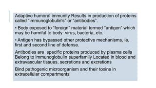 Adaptive humoral immunity Results in production of proteins
called “immunoglobulin's” or “antibodies”.
• Body exposed to “foreign” material termed “antigen” which
may be harmful to body: virus, bacteria, etc.
• Antigen has bypassed other protective mechanisms, ie,
first and second line of defense.
Antibodies are specific proteins produced by plasma cells
Belong to immunoglobulin superfamily Located in blood and
extravascular tissues, secretions and excretions
Bind pathogenic microorganism and their toxins in
extracellular compartments
 