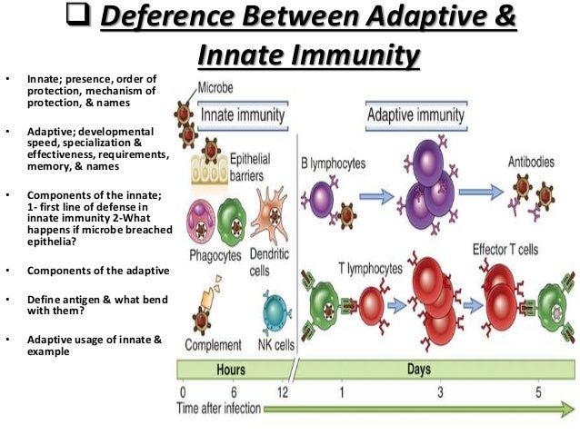 Adaptive immune