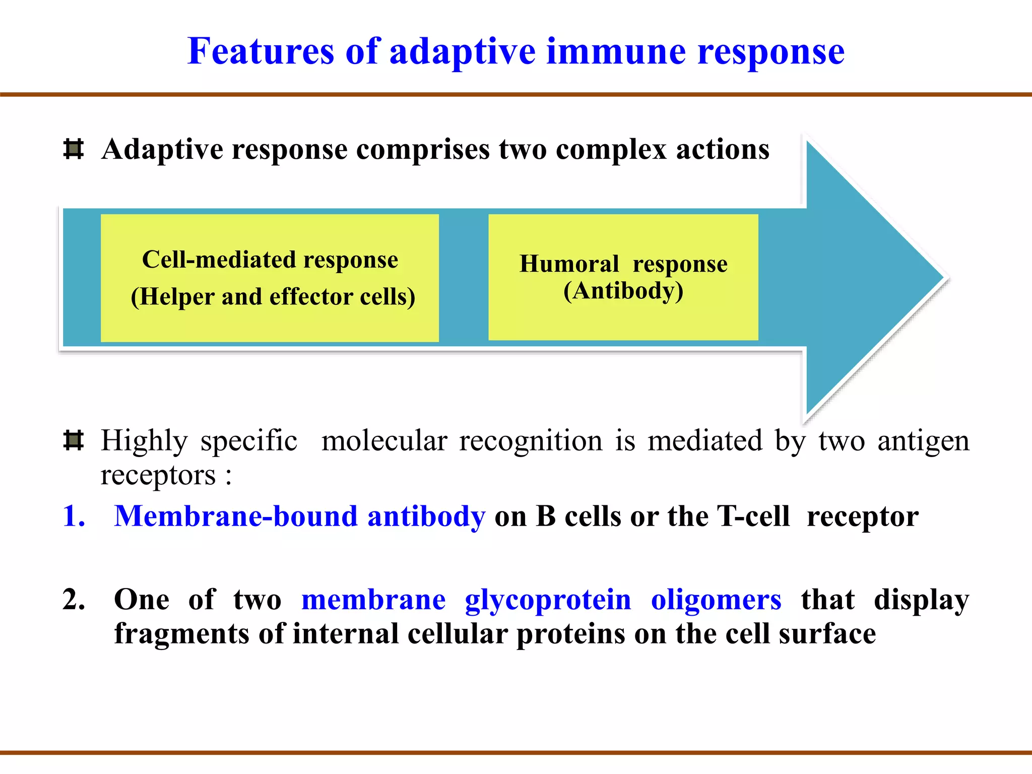 Adaptive Immune Response to Viral Infections | PPTX