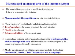 Adaptive Immune Response to Viral Infections | PPTX