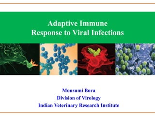 Adaptive Immune
Response to Viral Infections
Mousumi Bora
Division of Virology
Indian Veterinary Research Institute
 