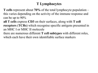 T cells represent about 70% of the total lymphocyte population –
this varies depending on the activity of the immune response and
can be up to 90%
all T cells express CD3 on their surfaces, along with T cell
receptors (TCRs) which recognise specific antigens presented in
an MHC I or MHC II molecule
there are numerous different T cell subtypes with different roles,
which each have their own identifiable surface markers
T Lymphocytes
 