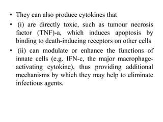 • They can also produce cytokines that
• (i) are directly toxic, such as tumour necrosis
factor (TNF)-a, which induces apoptosis by
binding to death-inducing receptors on other cells
• (ii) can modulate or enhance the functions of
innate cells (e.g. IFN-c, the major macrophage-
activating cytokine), thus providing additional
mechanisms by which they may help to eliminate
infectious agents.
 