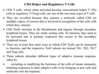 CD4 Helper and Regulatory T Cells
 CD4 T cells, which when activated become conventional helper T (Th)
cells or regulatory T (Treg) cells, are one of the two main types of T cells
 They are so-called because they possess a molecule called CD4 (in
multiple copies, of course) that is involved in recognition of the cells with
which they. interact.
 CD4 Tcells circulate in the bloodstream and migrate through secondary
lymphoid tissues. They are small, resting cells. To function, they need to
be activated and in primary responses this occurs in the secondary
lymphoid tissues
 There are at least four main ways in which CD4 Tcells can be instructed
to function, and the respective Tcell subsets are termed Th1, Th2, Th17
and Treg cells.
 These subsets stimulate different types of adaptive immune response,
either by
 recruiting or modifying the functions of the cells of innate immunity,
initiating responses in other adaptive cells or by bringing in new cells and
molecules into the response.
 