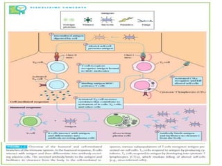 Adaptive Immune Response.pptx