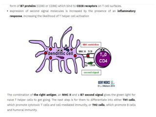 Adaptive Immune Response.pptx