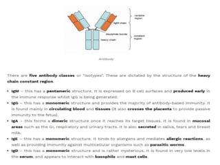 Adaptive Immune Response.pptx