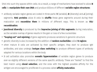 Adaptive Immune Response.pptx