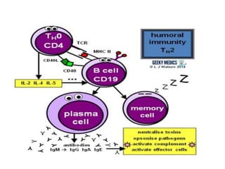 Adaptive Immune Response.pptx