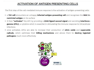 Adaptive Immune Response.pptx