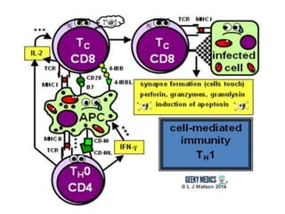 Adaptive Immune Response.pptx