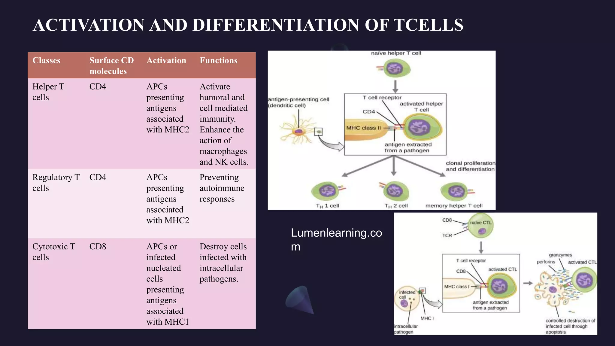 ADAPTIVE IMMUNE SYSTEM.pptx