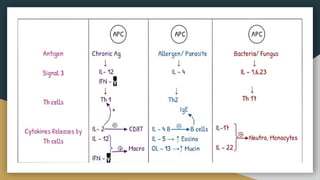 ADAPTIVE IMMUNE SYSTEM- Antigen presenting cells.pptx