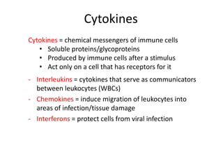 Cytokines
Cytokines = chemical messengers of immune cells
• Soluble proteins/glycoproteins
• Produced by immune cells after a stimulus
• Act only on a cell that has receptors for it
- Interleukins = cytokines that serve as communicators
between leukocytes (WBCs)
- Chemokines = induce migration of leukocytes into
areas of infection/tissue damage
- Interferons = protect cells from viral infection
 